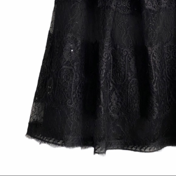 Stunning Ann Taylor Skirt, lace/sequin, Like new - Picture 4 of 15